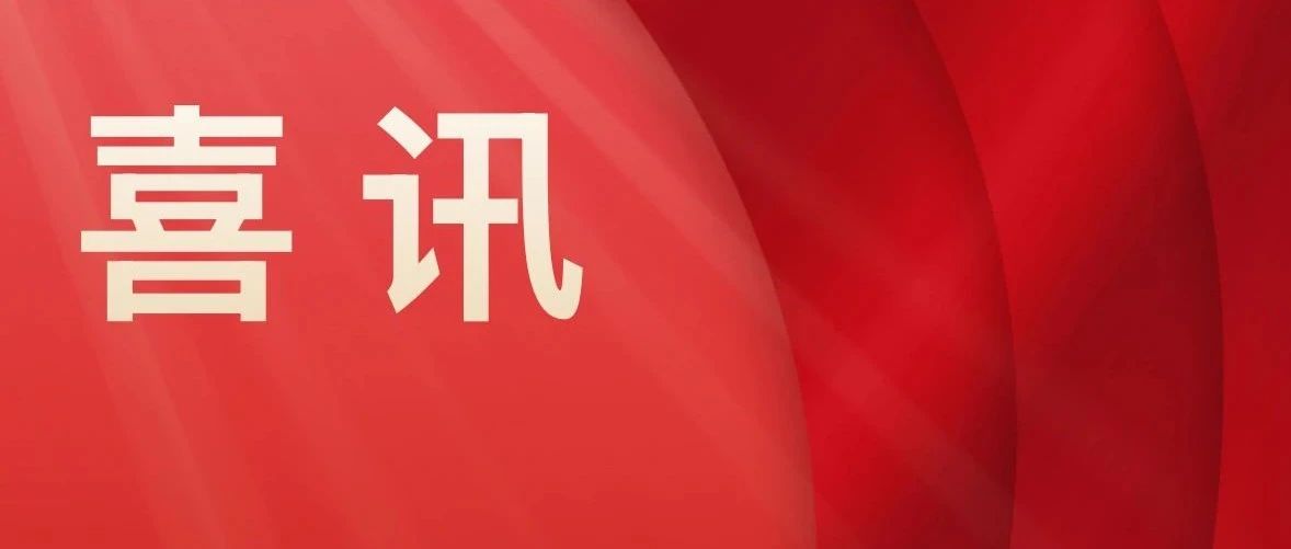 新河：三項榮譽加身，引領鋁業高質量發展新征程